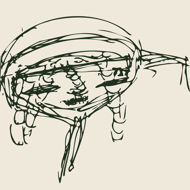 The owner’s drawing: a figure under a woven hat, seen from behind
